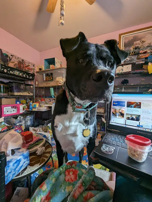Center Moriches Veterinary Hospital 12