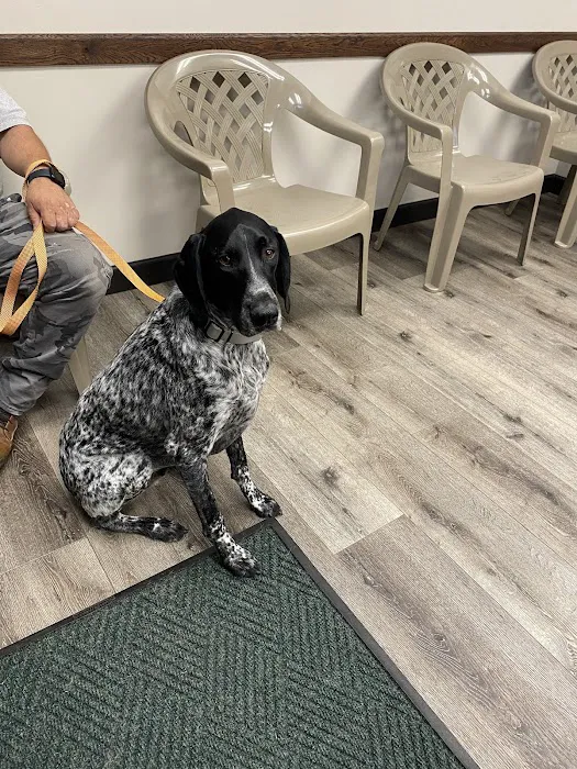 Mountainview Small Animal Hospital 1