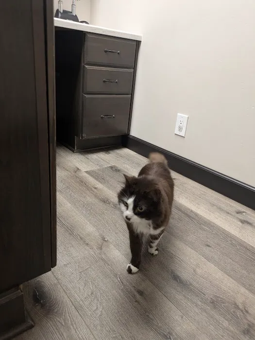 Mountainview Small Animal Hospital 2