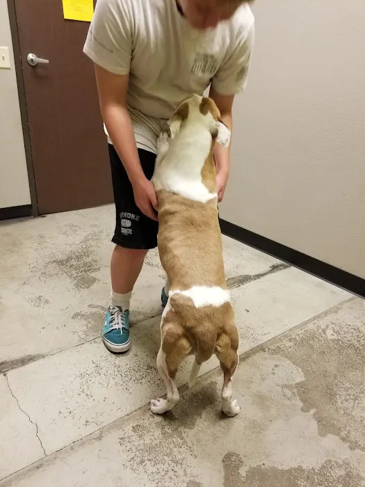 Lake Elsinore Animal Hospital at SoCalVetGroup 1