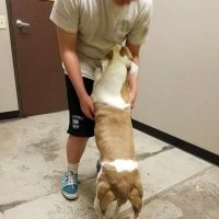 Lake Elsinore Animal Hospital at SoCalVetGroup ico