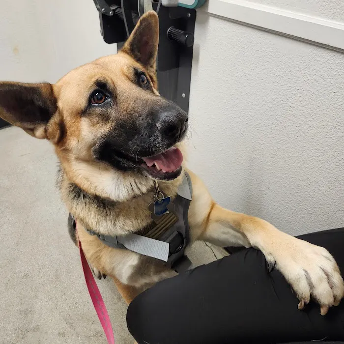 Lake Elsinore Animal Hospital at SoCalVetGroup 4