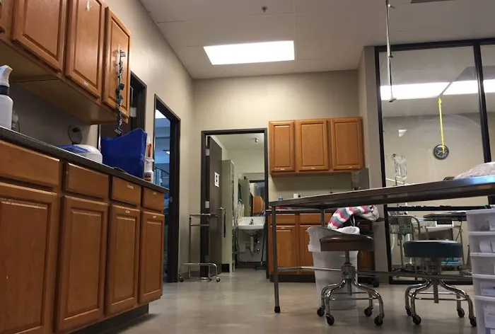 Lake Elsinore Animal Hospital at SoCalVetGroup 8