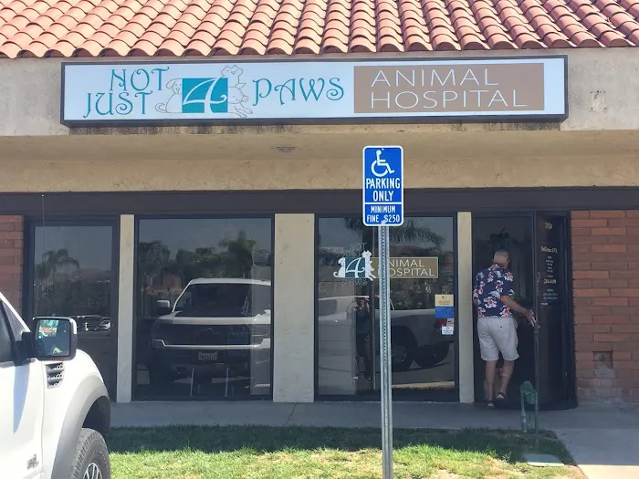 Not Just 4 Paws Animal Hospital 5