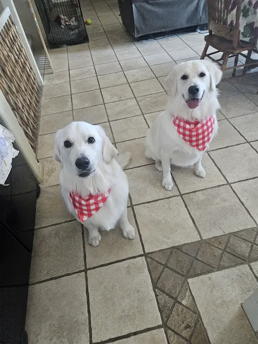 Canyon Lake Veterinary Hospital 1