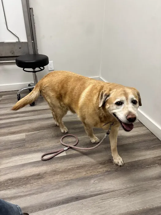Canyon Lake Veterinary Hospital 3