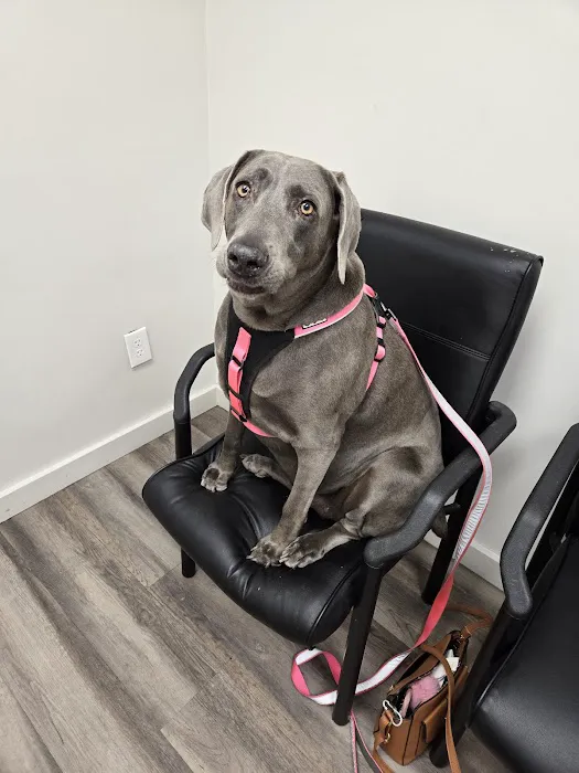 Canyon Lake Veterinary Hospital 10