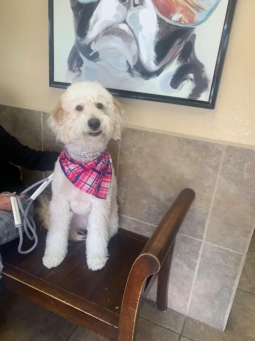 Canyon Lake Veterinary Hospital 5