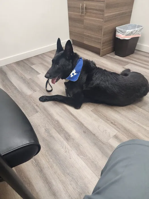 Canyon Lake Veterinary Hospital 9