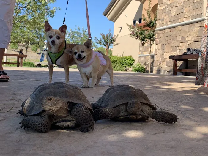 Canyon Lake Veterinary Hospital 2