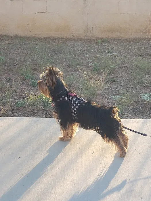 Perris Animal Hospital 2
