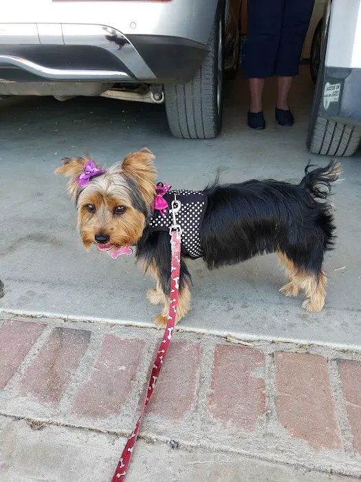 Perris Animal Hospital 1