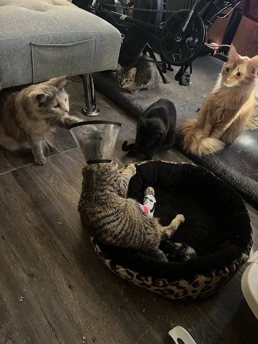 Perris Animal Hospital 4