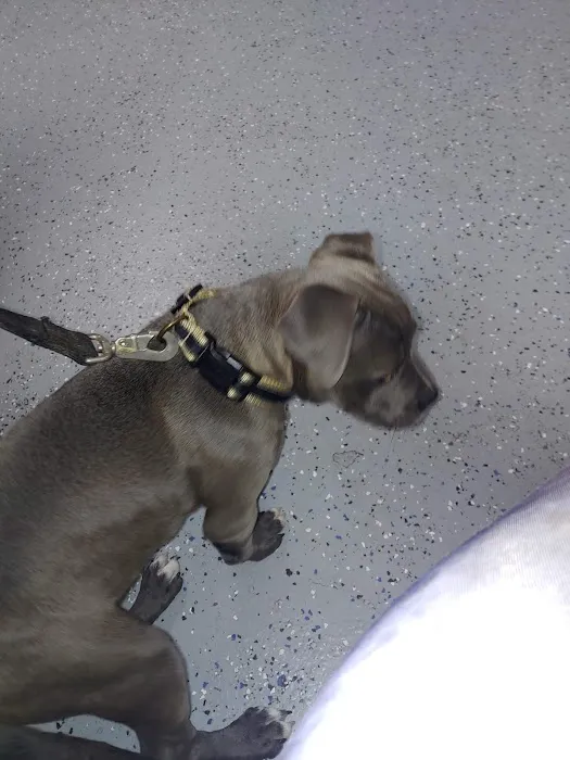 Nuevo Road Animal Hospital 9