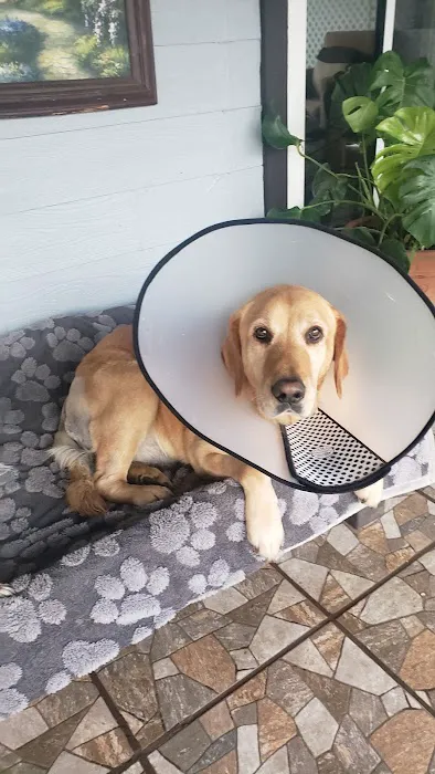 Nuevo Road Animal Hospital 3