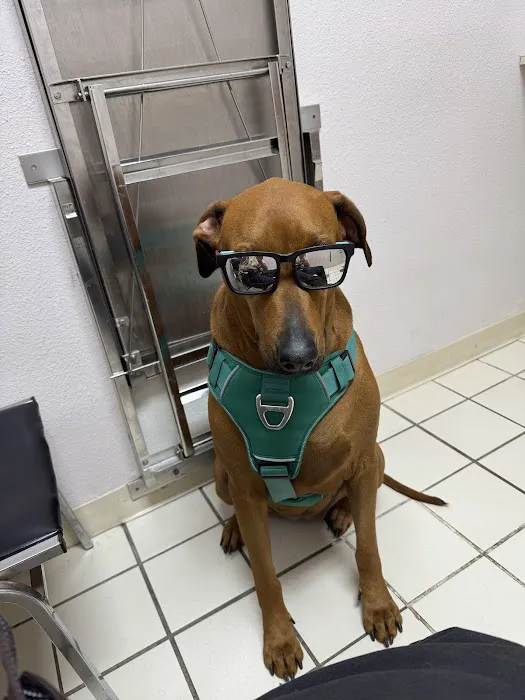 Perris Valley Veterinary Clinic 5