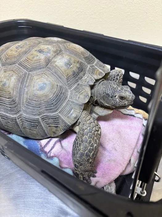 Perris Valley Veterinary Clinic 2