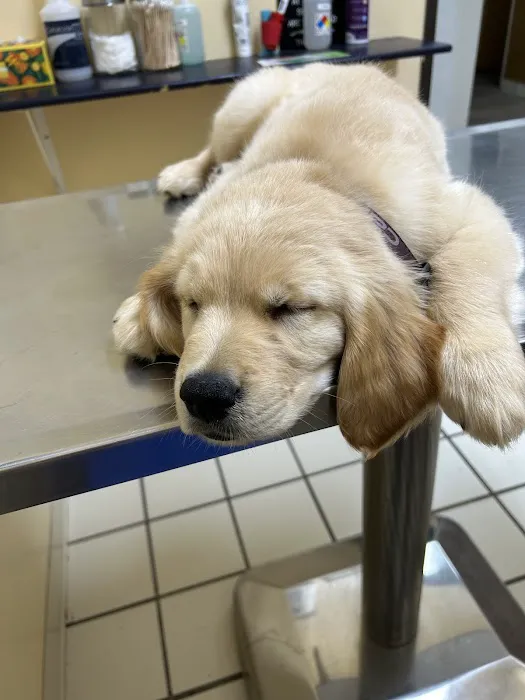 Perris Valley Veterinary Clinic 3