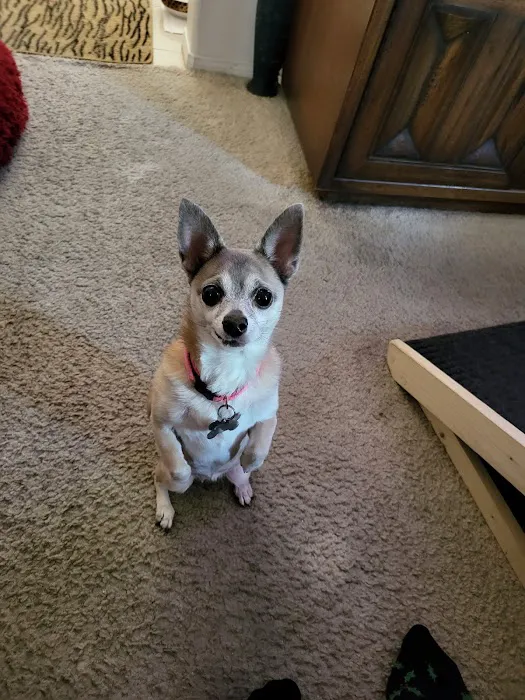 Perris Valley Veterinary Clinic 6