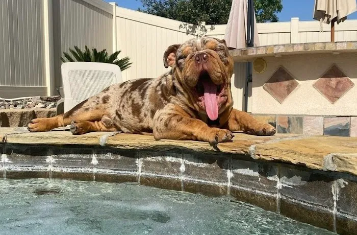 Perris Valley Veterinary Clinic 8