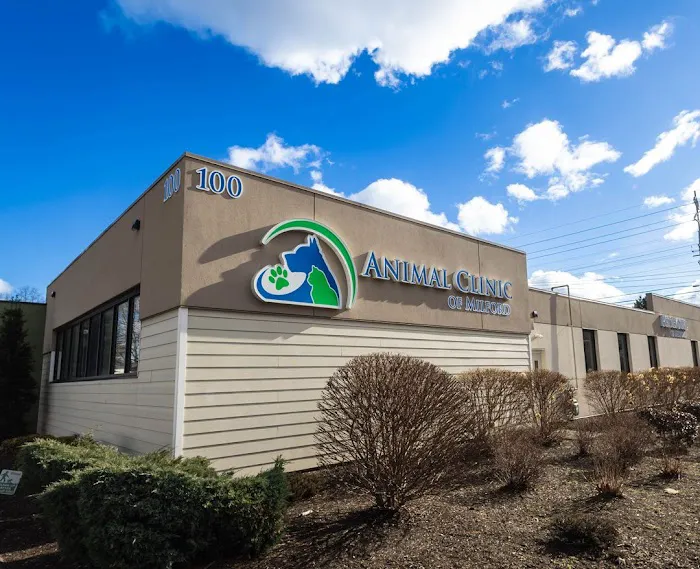 Animal Clinic of Milford 12