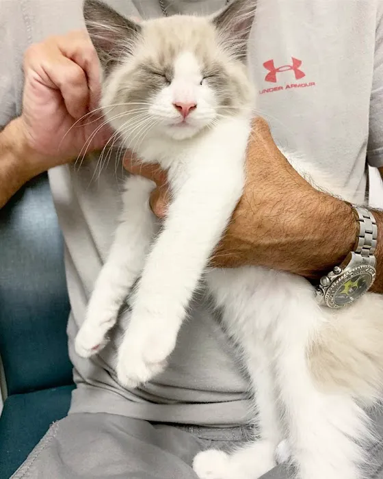 Milford Animal Hospital 12