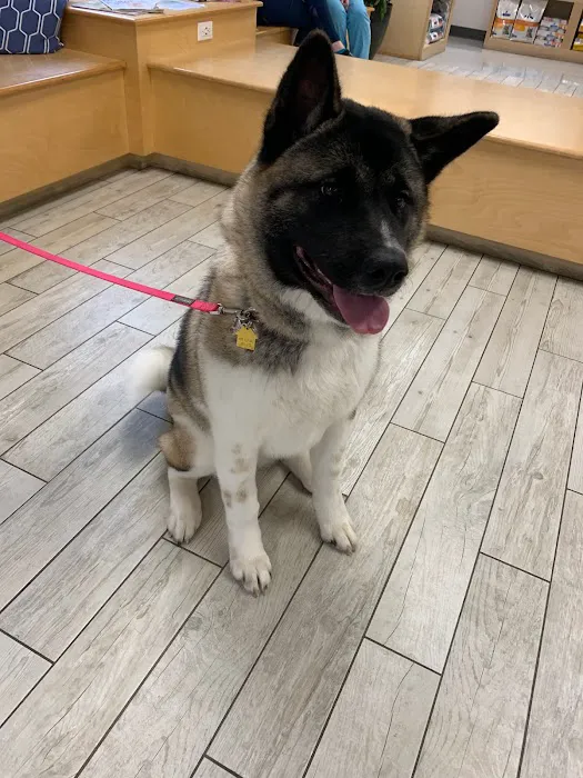 Milford Animal Hospital 12