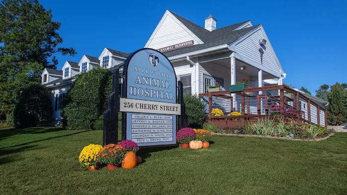 Milford Animal Hospital 12