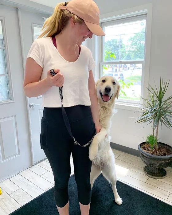 Milford Animal Hospital 12