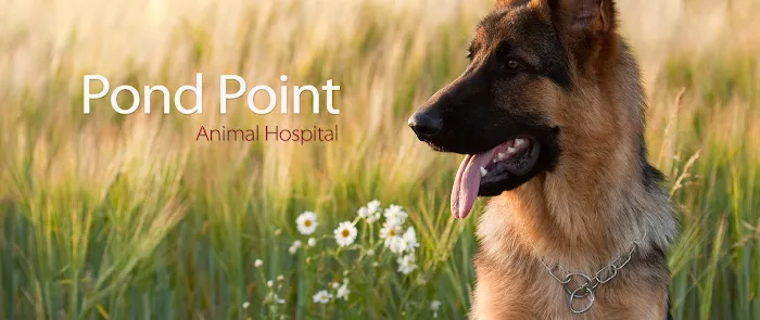 Pond Point Animal Hospital 12