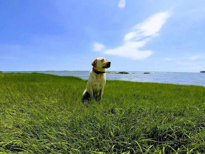 Pond Point Animal Hospital 12