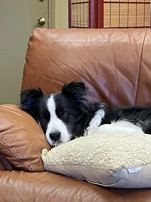 Pond Point Animal Hospital 12