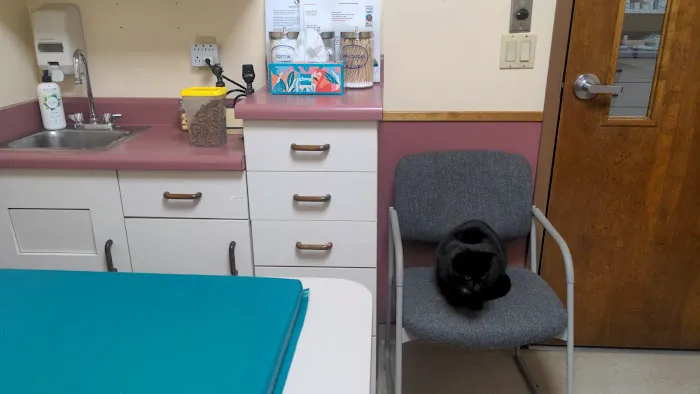 Berkshire Humane Society's Wellness Clinic 12