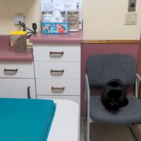 Berkshire Humane Society's Wellness Clinic ico