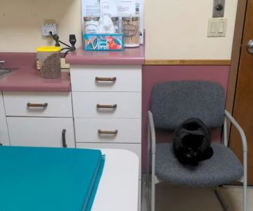 Berkshire Humane Society's Wellness Clinic