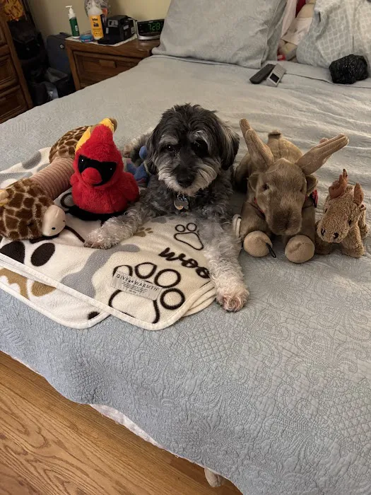 Hopmeadow Animal Hospital 12