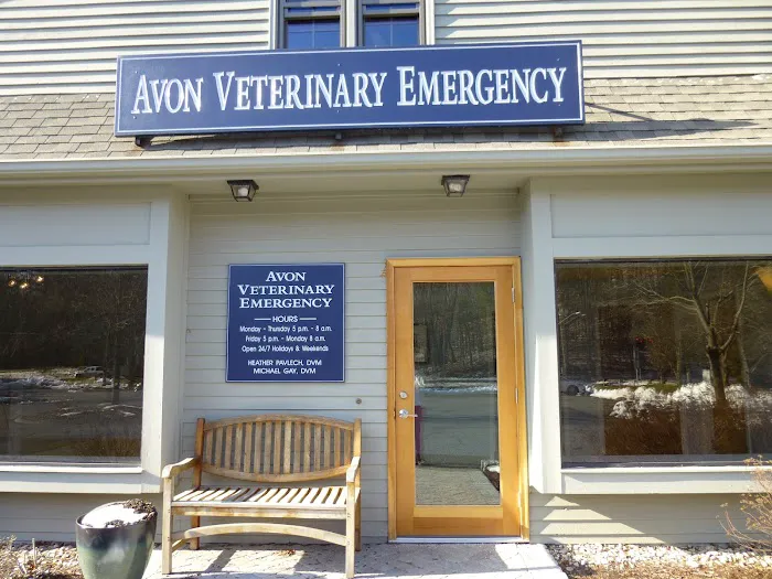 Avon Veterinary Emergency Referral 12