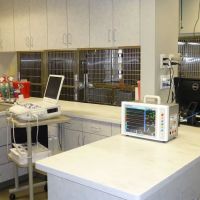 Avon Veterinary Emergency Referral ico