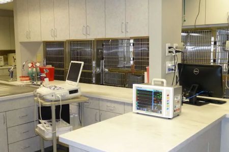Avon Veterinary Emergency Referral