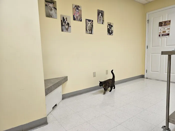 Canterbury Animal Hospital 12