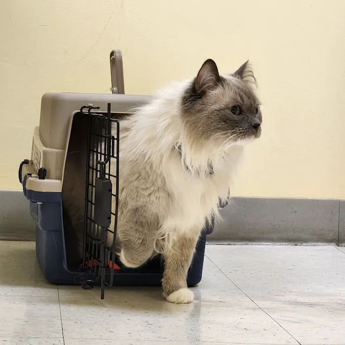 Canterbury Animal Hospital 12