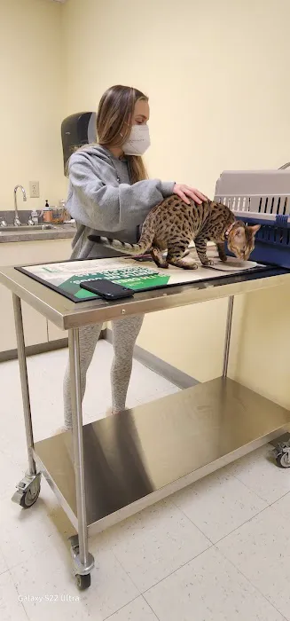 Canterbury Animal Hospital 12