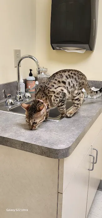 Canterbury Animal Hospital 12