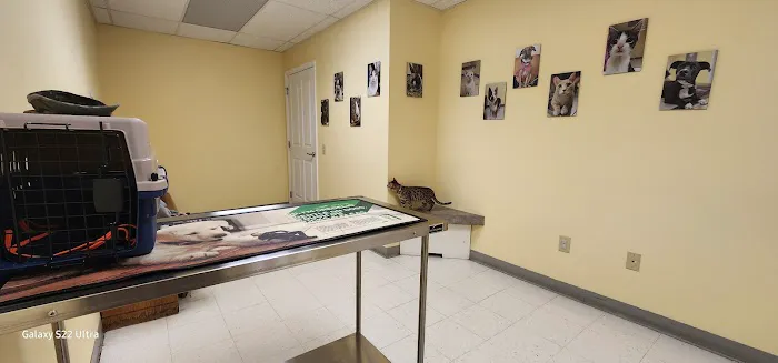 Canterbury Animal Hospital 12