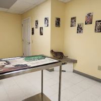 Canterbury Animal Hospital ico