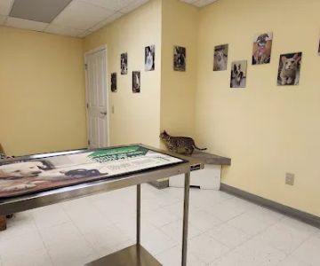 Canterbury Animal Hospital