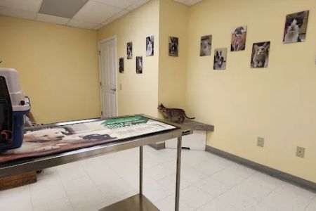 Canterbury Animal Hospital