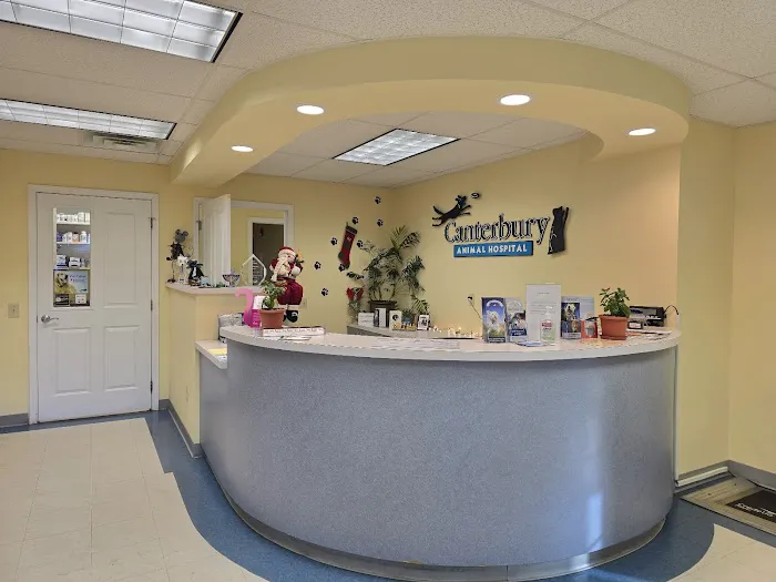 Canterbury Animal Hospital 12