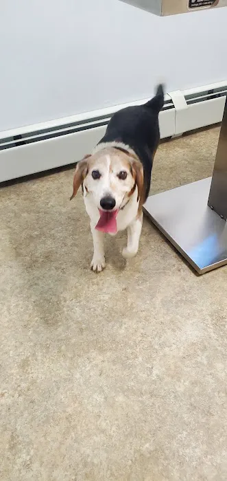 Parkside Veterinary Hospital 12