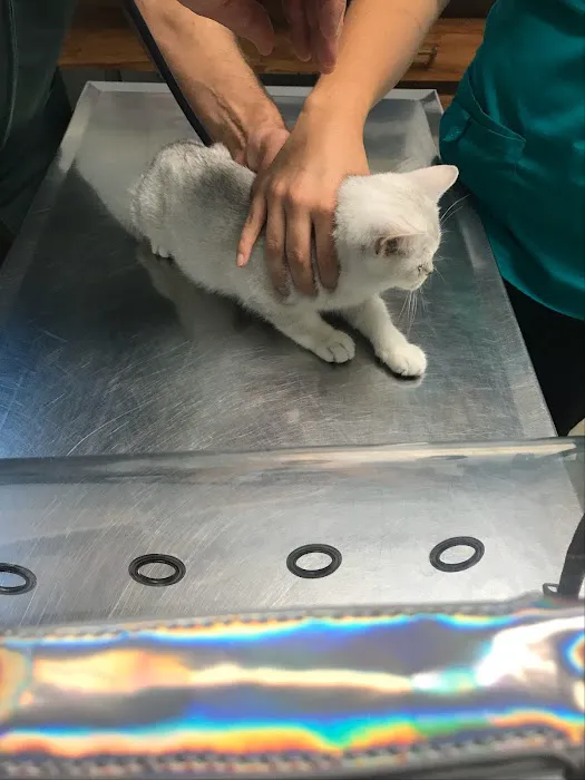 Parkside Veterinary Hospital 12